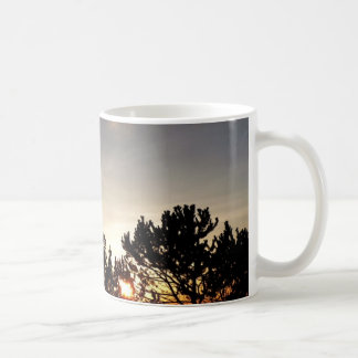 Sunset and Whitebark Pine Mug