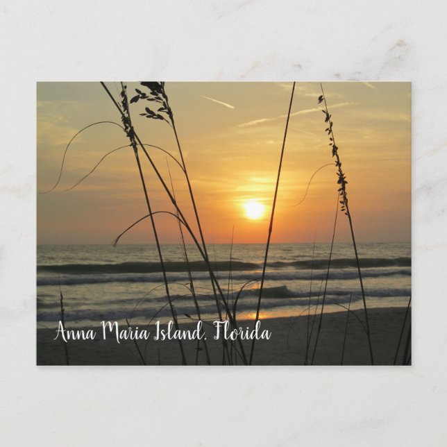 Sunset Anna Maria Island Florida Postcard (Front)