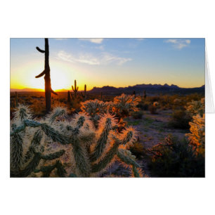 Sunset Arizona Sonoran Desert With Saguaro Cactus