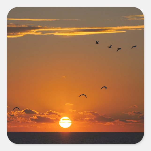 Sunset at Cayeux sur Mer in France  Square Sticker (Front)