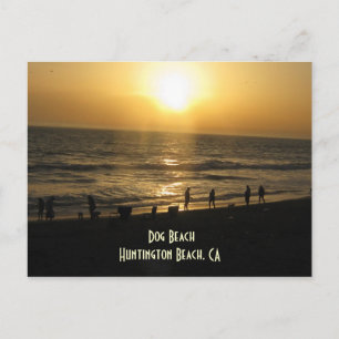 Sunset at Dog Beach Postcard