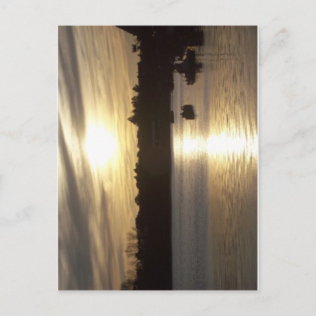 Sunset at EPCOT Postcard (Front)