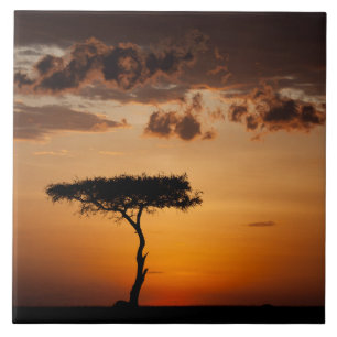 Sunset at Masai Mara Tile