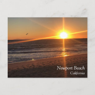 Sunset at Newport Beach, California Postcard