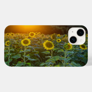 Sunset At Sunflower Field Case-Mate iPhone 14 Case