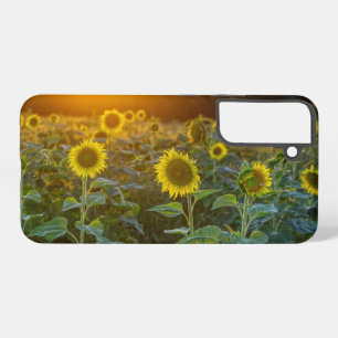 Sunset At Sunflower Field Samsung Galaxy Case