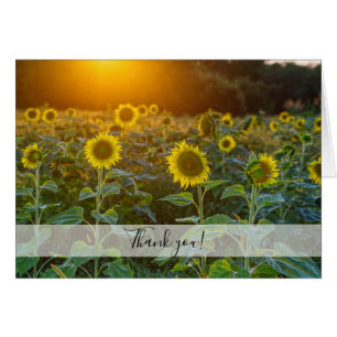 Sunset At Sunflower Field Thank You Card