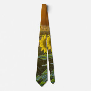 Sunset At Sunflower Field Tie