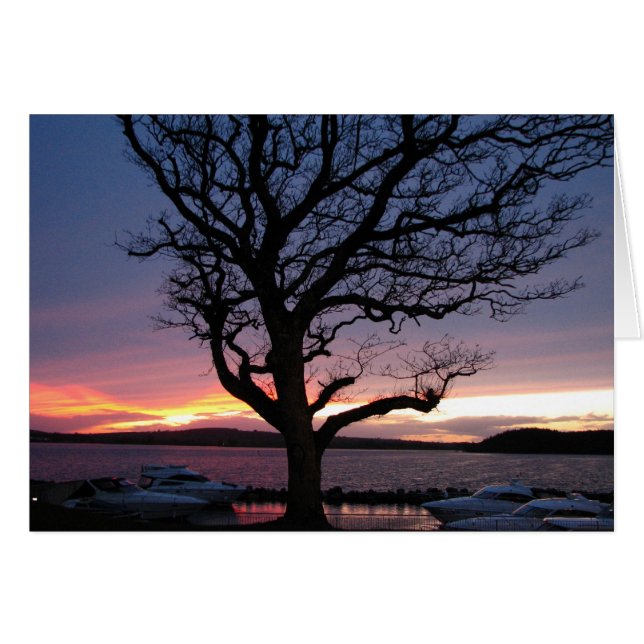 Sunset at the Harbour (Front Horizontal)