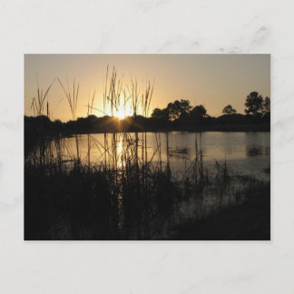 Sunset at the Pond Postcard