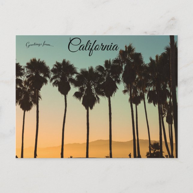 Sunset at Venice Beach Los Angeles California Postcard (Front)