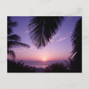 Sunset at West End, Cayman Brac, Cayman Islands, Postcard