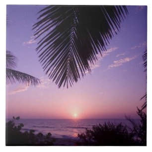 Sunset at West End, Cayman Brac, Cayman Islands, Tile