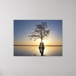 Sunset Behind a Tree Canvas Print