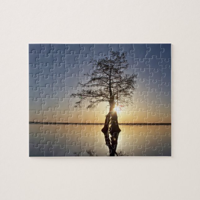 Sunset Behind a Tree Jigsaw Puzzle (Horizontal)