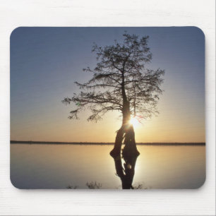 Sunset Behind a Tree Mouse Mat