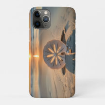 Sunset Behind the Sand Dollar