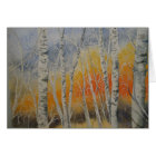 Sunset Birch Trees