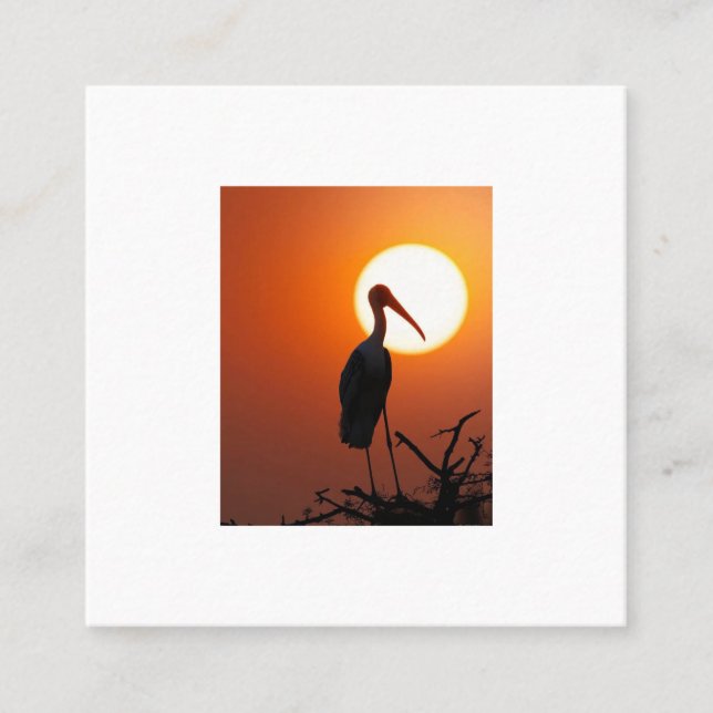 Sunset Bird on Branch – Nature Wall Art Square Business Card (Front)