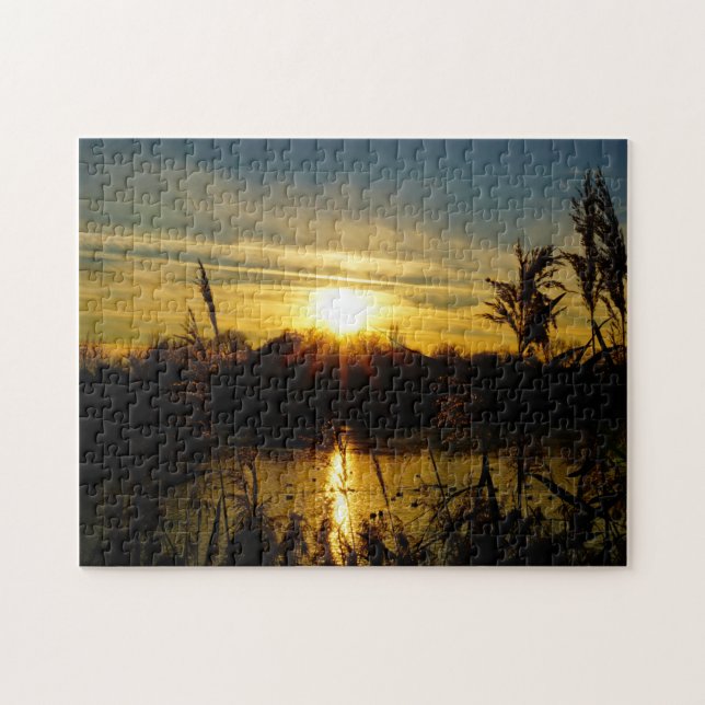 Sunset by a pond with reed plumes. jigsaw puzzle (Horizontal)