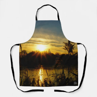 Sunset by a small lake with reed plumes. apron