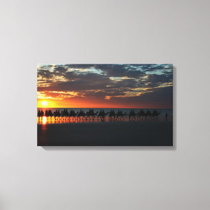 Sunset Camel Ride, Broome, Australia - Canvas Print