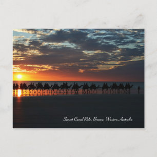 Sunset Camel Ride, Broome, Western Australia Postcard