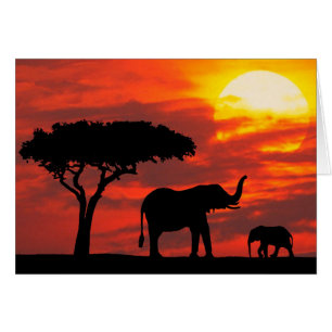 Sunset Card