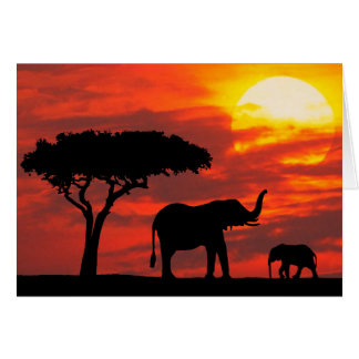 Sunset Card