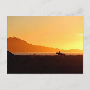 Sunset, Chaiten, Chile Postcard