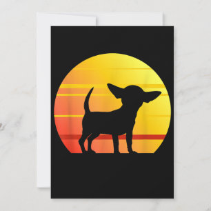 Sunset Chihuahua Announcement