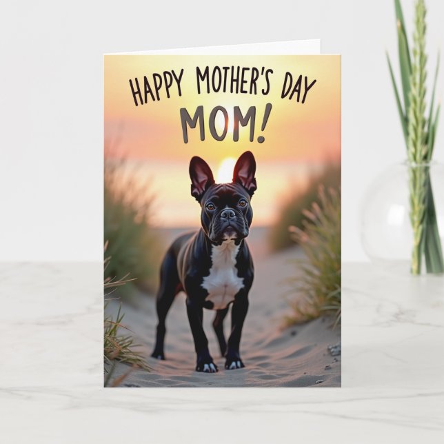 Sunset Companion Dog Card (Front)