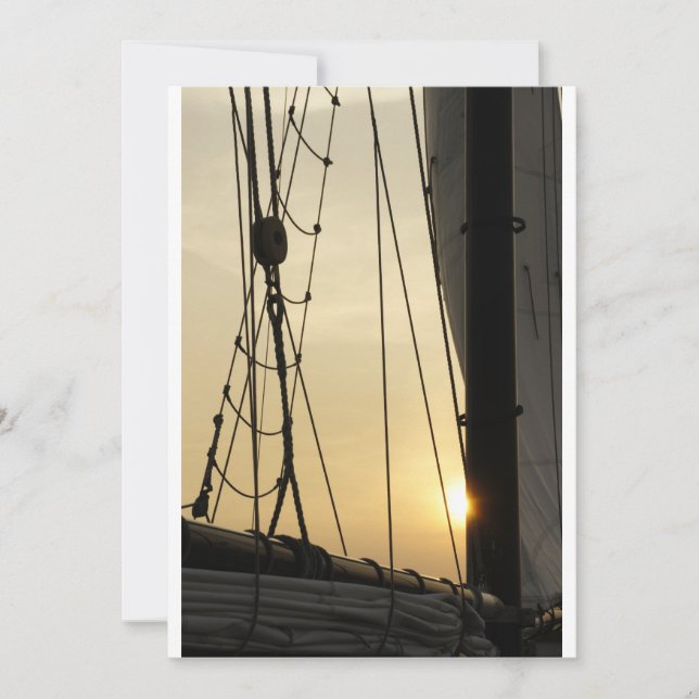 Sunset Cruise (Front)