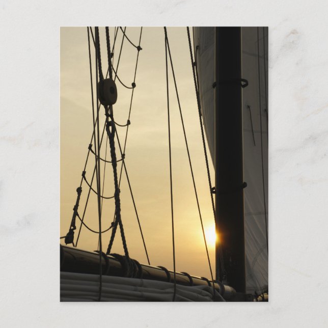 Sunset Cruise Postcard (Front)