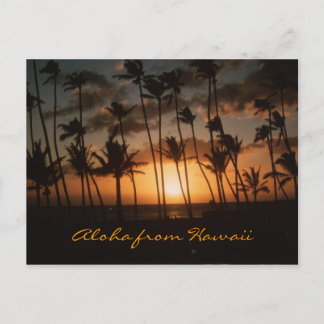 Sunset (Customisable) 🌴 Postcard