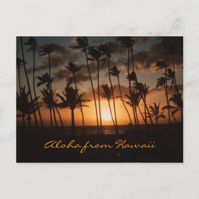 Sunset (Customisable) 🌴 Postcard (Front)