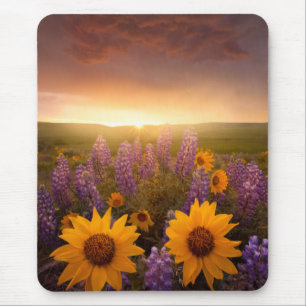 Sunset Daisies Mouse Mat