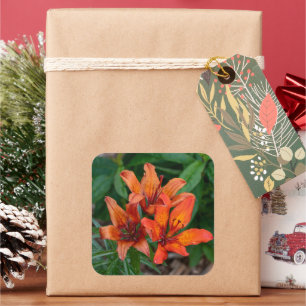 Sunset Day Lily – Warm Petal Glow Square Sticker