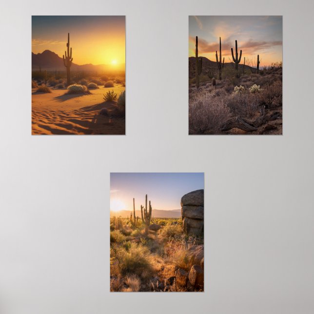 Sunset Desert Landscapes. Arizona  (Front)
