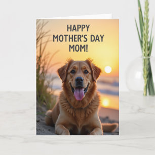 Sunset Dog Mothers Day Greeting Card