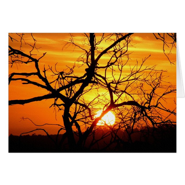 Sunset Entwined Card (Front Horizontal)