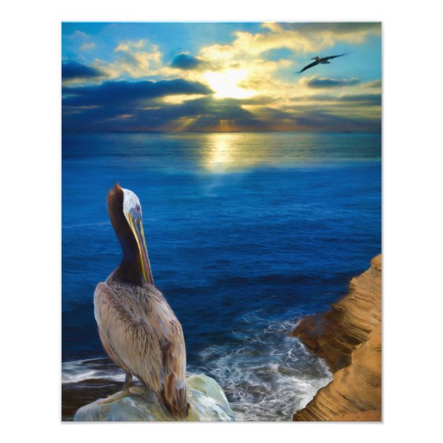 SUNSET EYES OF A PELICAN PHOTO PRINT (Front)