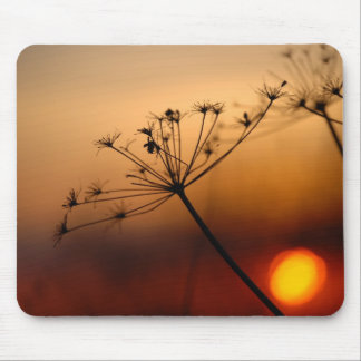 Sunset Field Flowers Mouse Mat