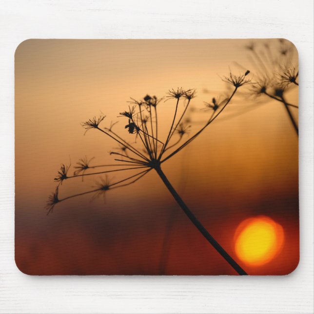 Sunset Field Flowers Mouse Mat (Front)