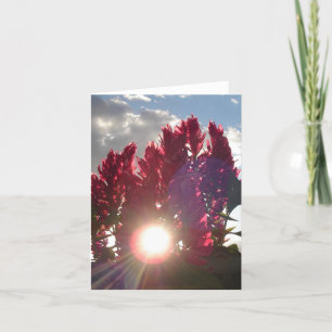 Sunset Flame Flowers - vertical (v2) Card