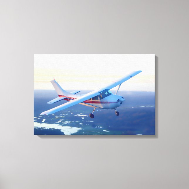 Sunset Flight Canvas Print (Front)