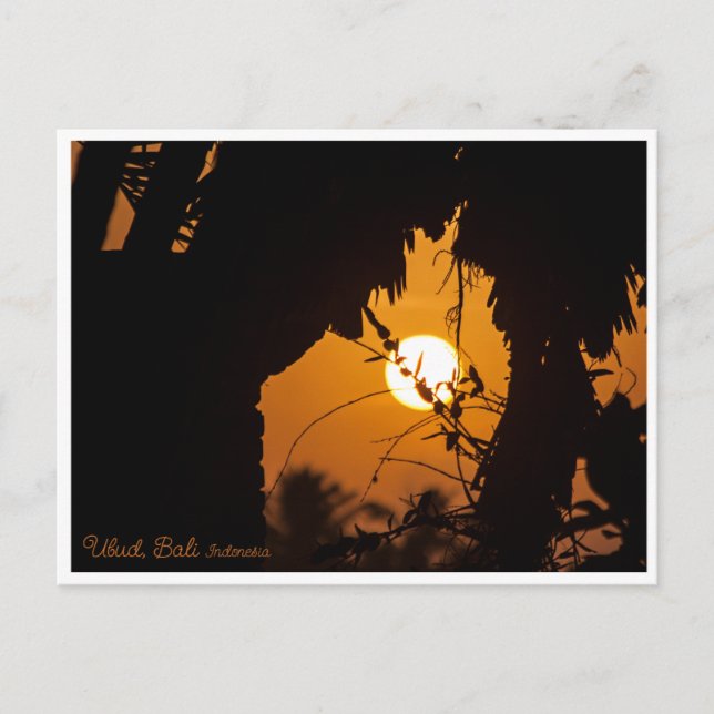 Sunset Garden Ubud Bali Indonesia - Art Postcard (Front)