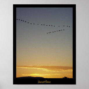 Sunset Geese Poster