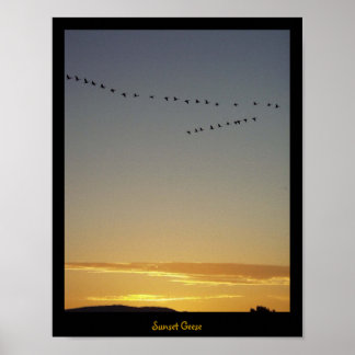 Sunset Geese  Poster