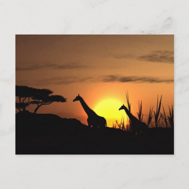 "Sunset Giraffe Silhouette" Postcard (Front)